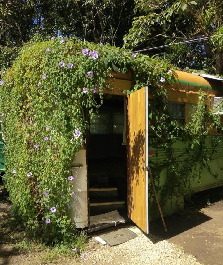 Apartmán Hospedaje Combi Dream Bird Playas del Coco Exteriér fotografie